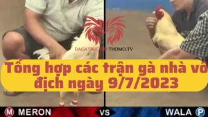 Các trận gà nhà vô địch ngày 9/7/2023