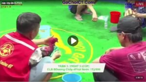 Cup 1 tỷ Bình Dương VS Hà Nội