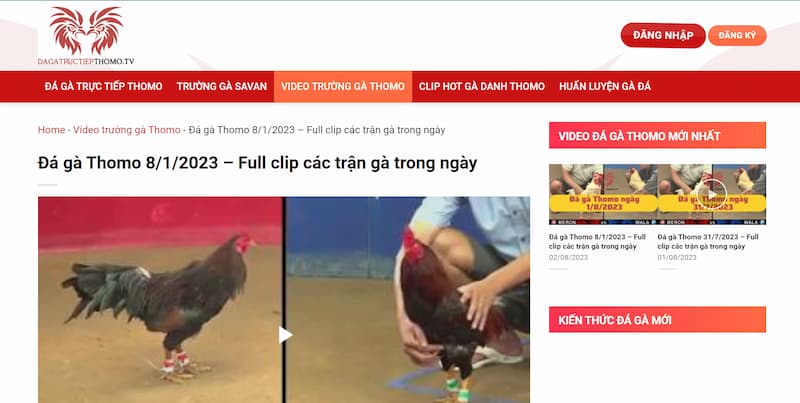 Tại sao nên truy cập website Dagatructiepthomo.tv?