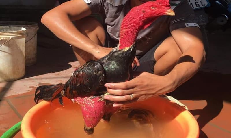Tổng hợp lưu ý