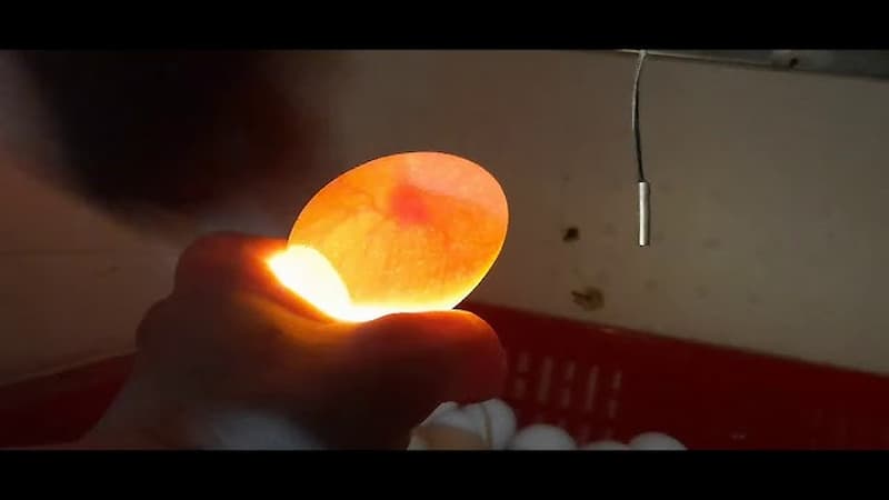Tác dụng hữu ích khi hiểu biết kỹ thuật soi trứng