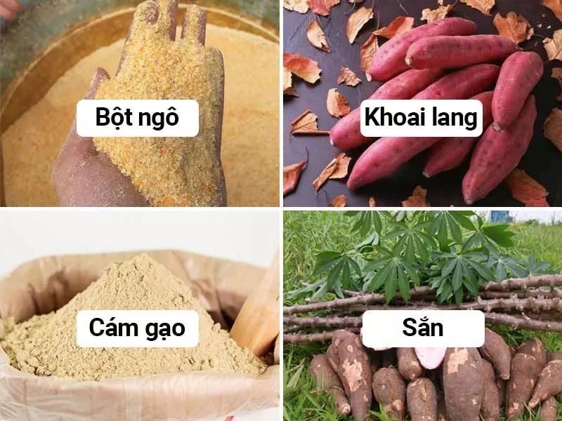 Thức ăn cho gà nhanh lớn là khoai lang