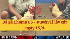 duyên ti lấy cup c3 thomo ngày 15/4