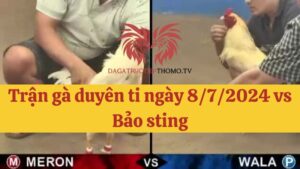 Duyên ti vs Bảo sting ngày 8/7